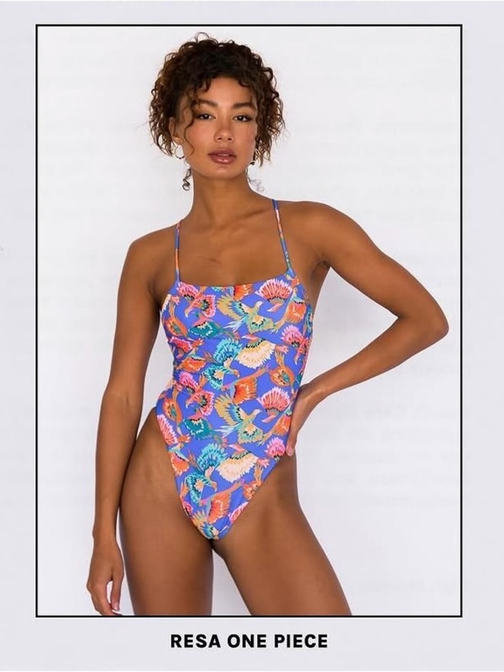 ISO Skatie Paraiso size small